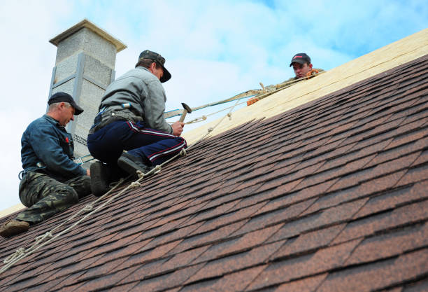 Best Roof Maintenance Services  in Glendale Heights, IL